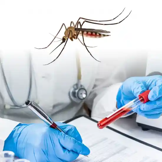 Dengue Qualitative PCR Test